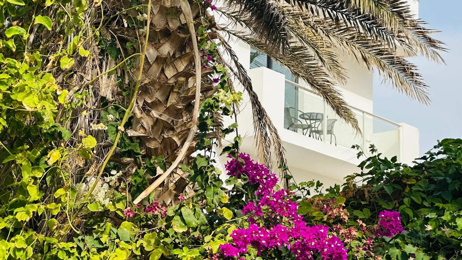 Atlantic Sal Design Apartments Santa María Cabo Verde